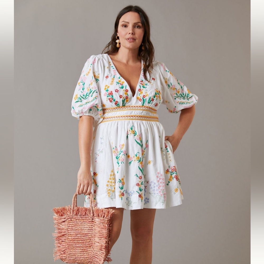 Anthropologie Deep-V Floral Embroidered Dress